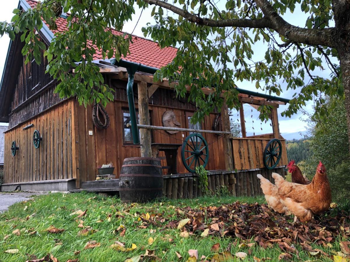 Ferienhaus Friedlhof Langschlag  외부 사진