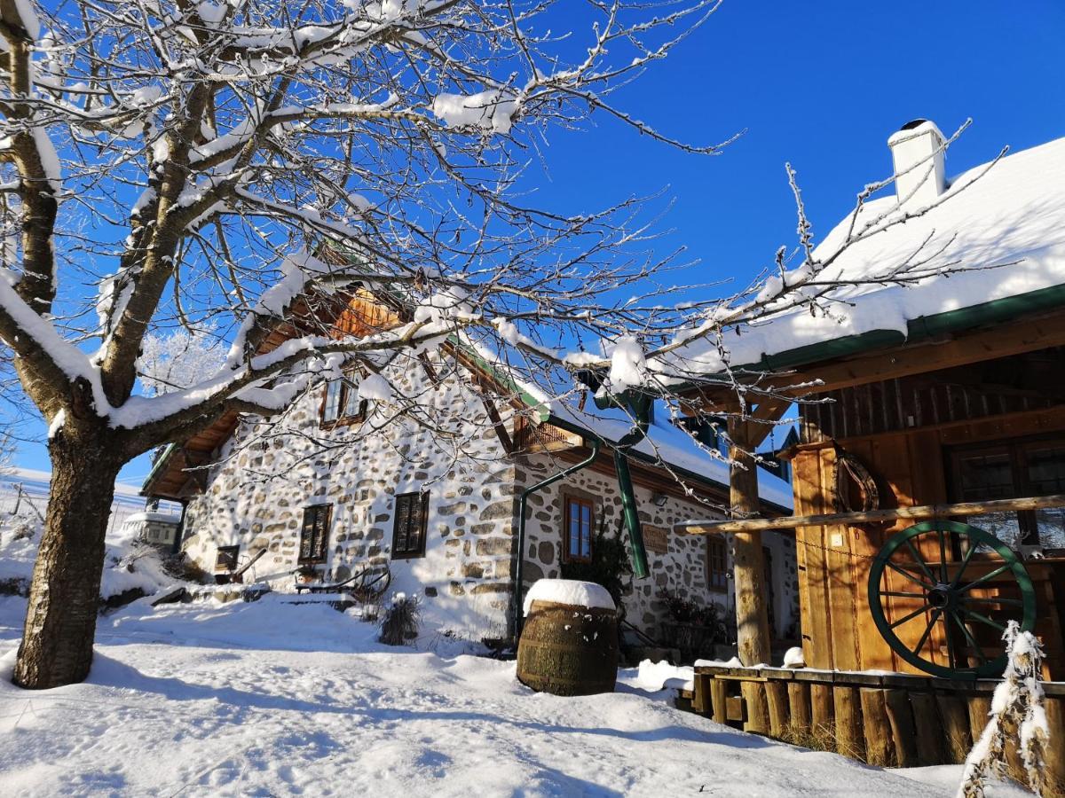 Ferienhaus Friedlhof Langschlag  외부 사진